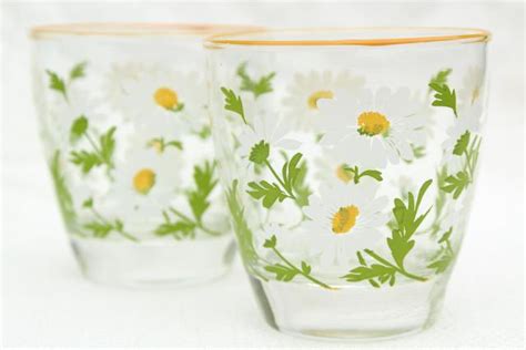 Daisy Print Vintage Libbey Glassware Lowball Tumblers