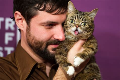 ‘lil bub and friendz documentary explores why the