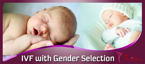 Ivf With Gender Selection Package In The United States