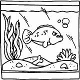 Fish Tank Coloring Predator Netart sketch template