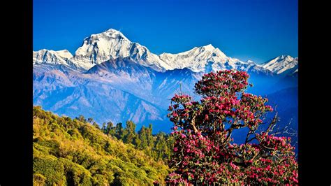 The Most Beautiful Place Pokhara Nepal ポカラ ネパール