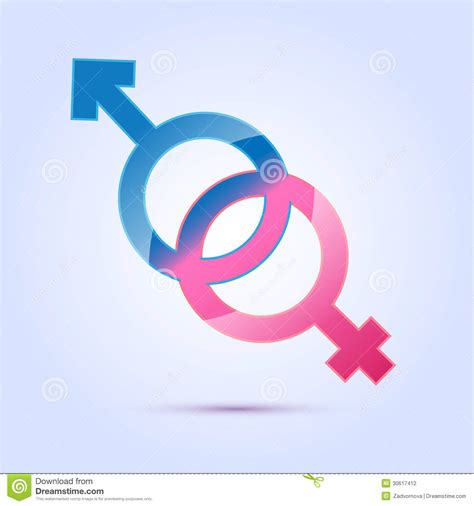 male and female sex symbol stock vector illustration of