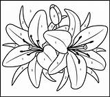 Number Pages Flowers Color Printable Coloring Flower Paint Numbers Adult Painting Patterns Choose Board Stained Glass Lily sketch template