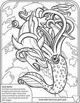 Coloring Pages Shark Squid Dover Sharks Publications Doverpublications Book Cuttlefish Sheets Books Colouring Witch Inspirational Lovely Fresh Adults Welcome Ocean sketch template