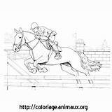 Cheval Saut Obstacle sketch template