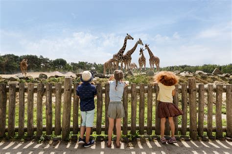 de leukste dierentuinen  nederland tui smile