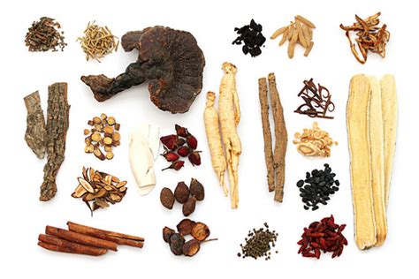 Herbs List Chinese Herbal Medicine Chinese Herbs Herbal Medicine