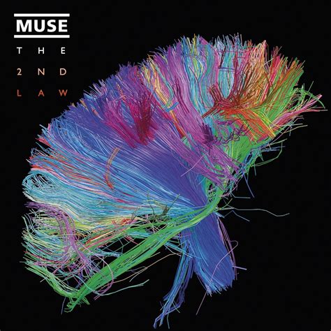 album review muse   law