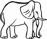 Elephant Template Animals Coloring Animal Pages African Big Grassland Templates Drawing Outline Outlines Color Kids Clipart Draw Easy Printable Tusks sketch template