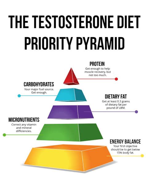 testosterone very important sex hormone true or false