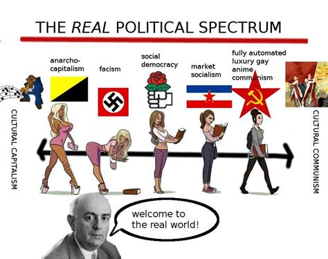 the real political spectrum bimbofication know your meme
