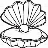 Clipart Pearl Shell Seashell Drawing Oyster Getdrawings Clipartmag Clipground sketch template