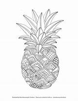 Pineapple Coloring Pages Printable Fruit Mandala Zentangle Adult Illustrated Abstract Fruits Browning Marie Sheets Choose Board Tombowusa Print Cute Tombow sketch template