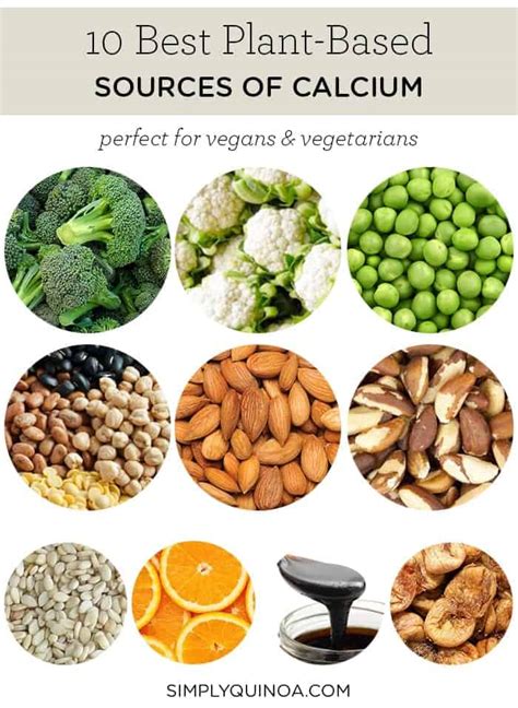 top vegan sources  calcium foods high  calcium simply quinoa