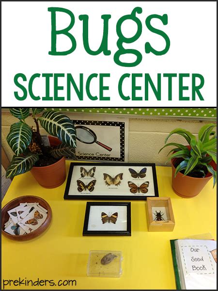 bugs science center prekinders