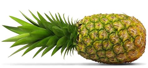 life  love  vittles  safeword  pineapple