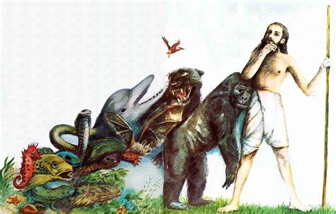 darwins evolution theories finally proved  cambridge