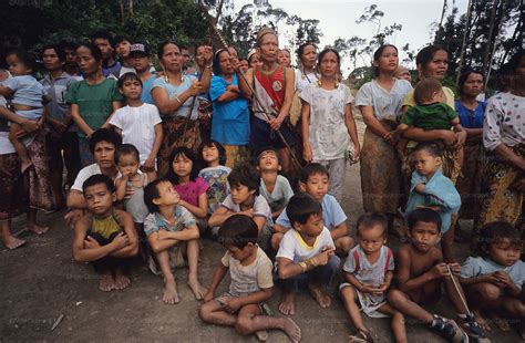 Indigenous Dayak Blockade Of Logging Road Tropical