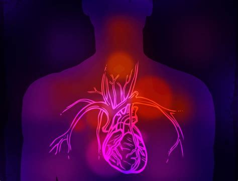 how your hormones affect your heart estrogen is