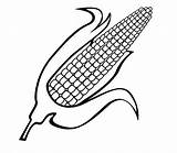 Corn Coloring Sweet Pages Stalk Icon Drawing Cob Connection Logo Switch Material Property Popular Getdrawings Coloringhome 525px 26kb Comments sketch template