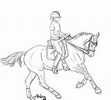 Lineart Tack Pferde Dressage Foal Springreiten sketch template