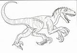Jurassic Coloring Pages Velociraptor Raptor Blue Park Color Lego Clipart Printable Template Library Sketch Popular sketch template