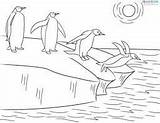 Antarctica Colouring Penguins sketch template