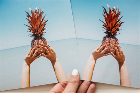 glossy  matte photographic prints persnickety prints