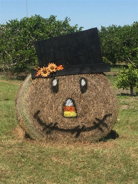 scarecrow    hay bale fall crafts hay bale decorations fall halloween decor
