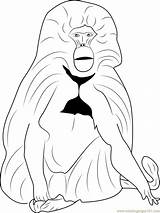 Coloring Baboon Pages Gelada Coloringpages101 Animals Color sketch template