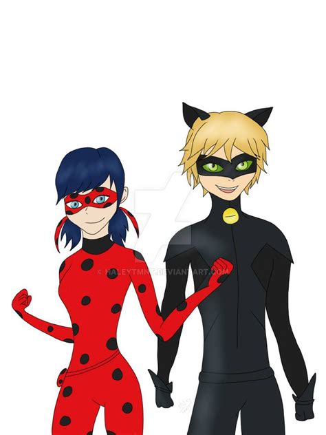 Miraculous Ladybug And Cat Noir Colored By Haleymatsu On