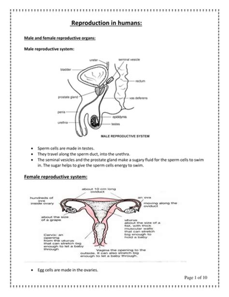 reproduction in humans notes teaching resources