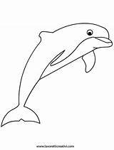 Animali Mare Delfino Delfini Marini Lavoretti Creativi Sagome Cartoncino Lavoretticreativi sketch template