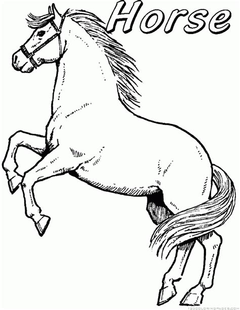 printable horse coloring pages sketch coloring page