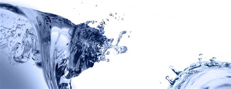 project body smart  reasons  drink  water