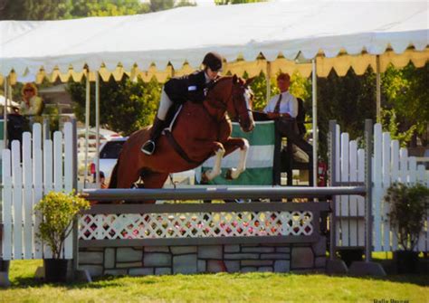 32 Polly Sweeney And Duet Amateur Owner Hunter 36 And Over