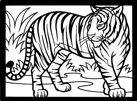 tiger print drawing  getdrawings