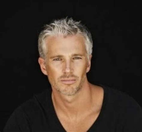 15 Mens Hair Color For Gray The Best Mens Hairstyles
