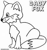 Fox Coloring Pages Baby Print Template Rooster Fancy Sheet Cartoon Animal Popular Coloringway sketch template