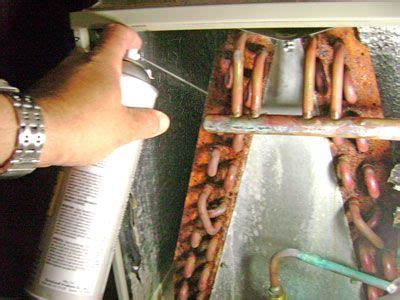 evaporator coil   clean appliance cleaning