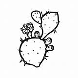 Pear Prickly Cactus Drawing Getdrawings sketch template