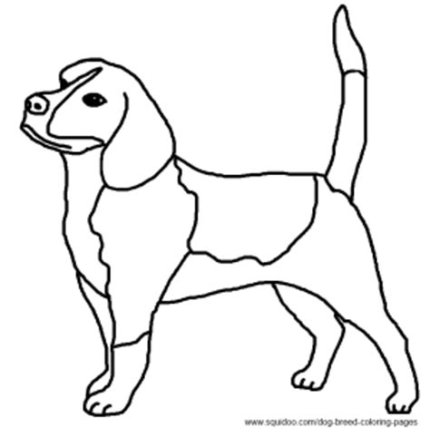 realistic beagle coloring pages coloring pages