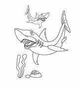 Shark Coloring Pages Reef Gray Printable Sharks sketch template
