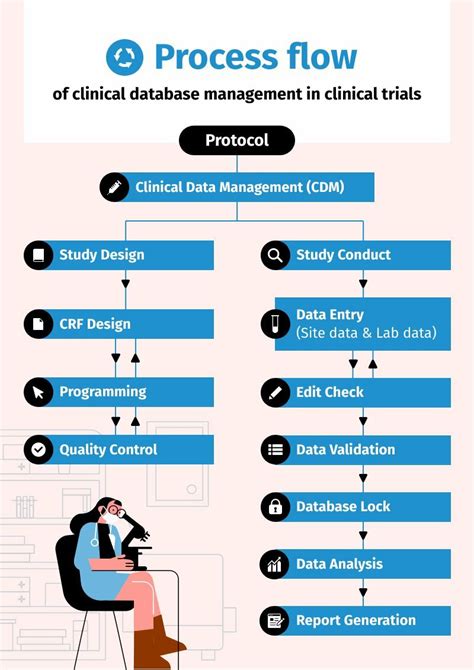 process flow diagram  infographic template piktochart