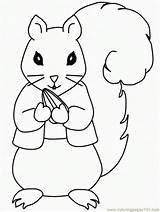Squirrel Coloring Preschool Pages Popular sketch template