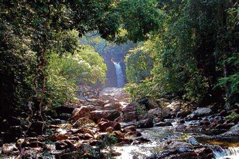 agasthyamalai biosphere reserve kerala  tamil nadu