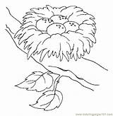 Coloring Pages Nest Birds Bird Printable Animal Eggs Nests Humming Kids Color Sheets Adult Choose Board Preschool sketch template