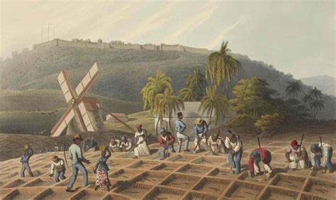 the transatlantic slave trade 1675 1907 british online archives
