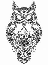 Owl Coloring Owls Adult Beautiful Pages sketch template