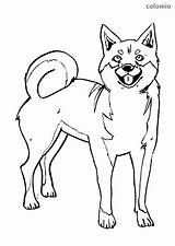 Shiba Ausmalbild Hund Hunde sketch template